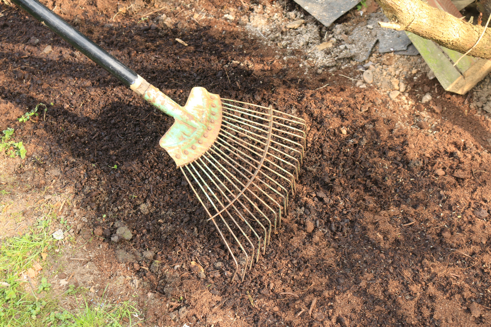 Metal rake to level off soil