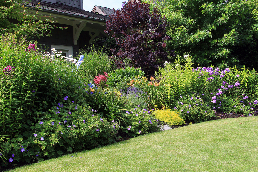 Perennial flower bed filled with herbaceous perennials