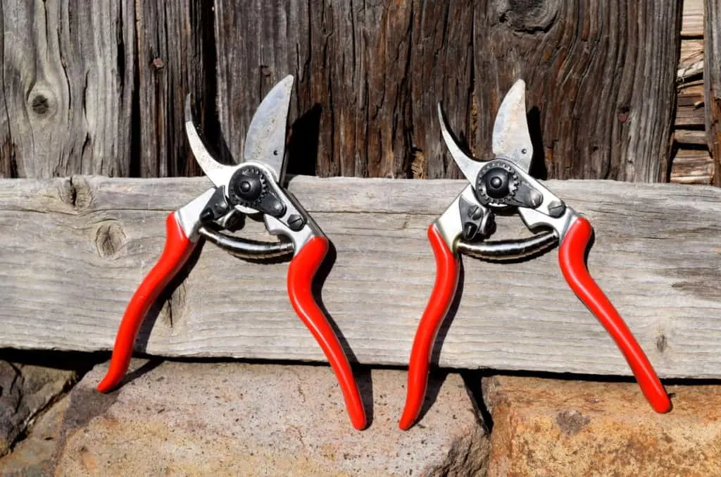 Red-handled hand pruners