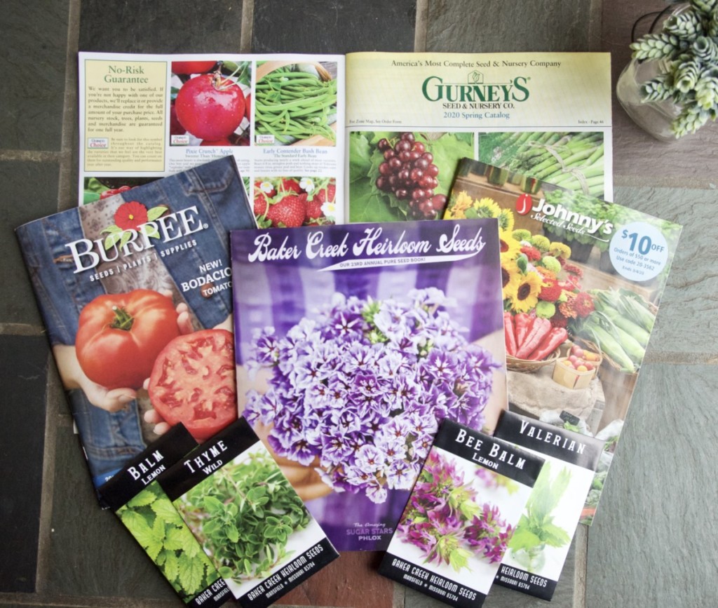 Free seed catalogs - Johnny