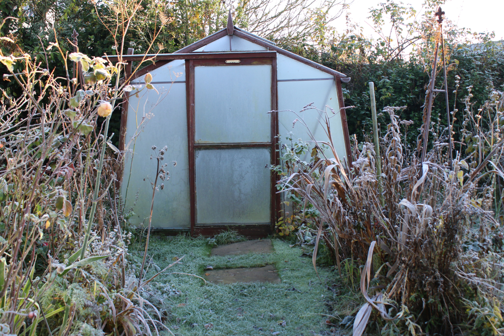 Frosty greenhouse