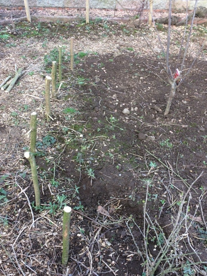 How To Make a Wattle Fence With Branches