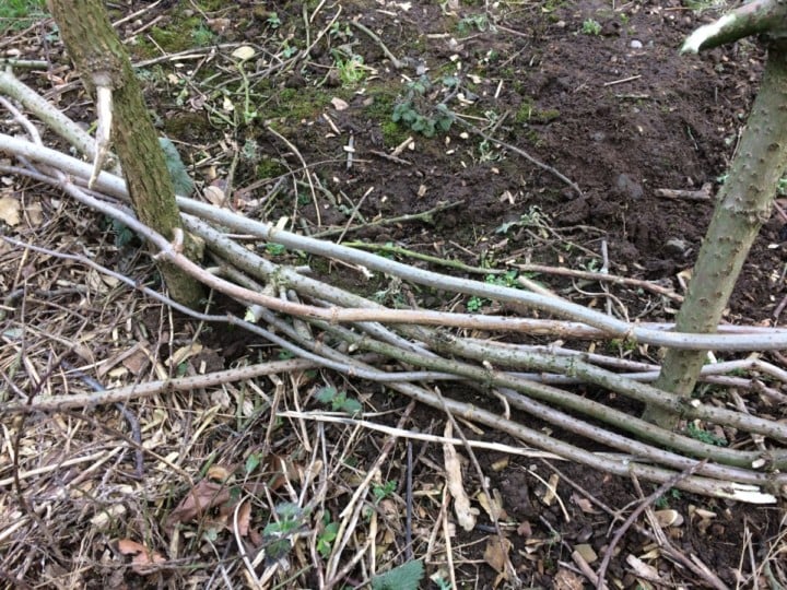 How To Make a Wattle Fence With Branches