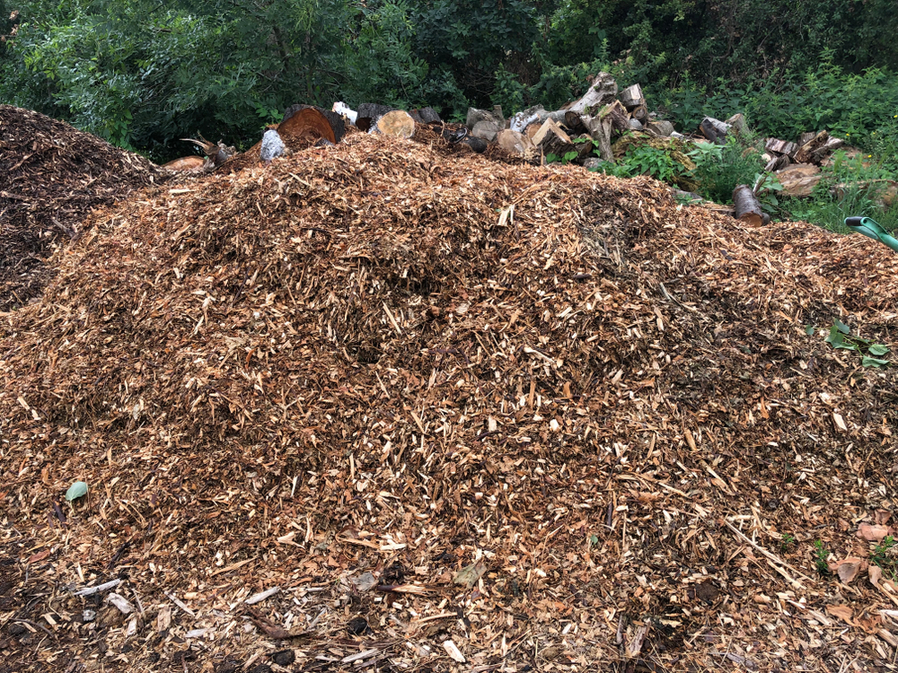 Heap of wood chip at allotment