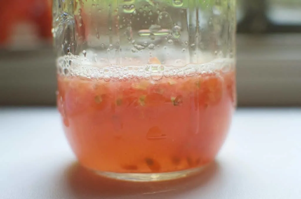 Close up of jar with fermenting tomato seeds. 