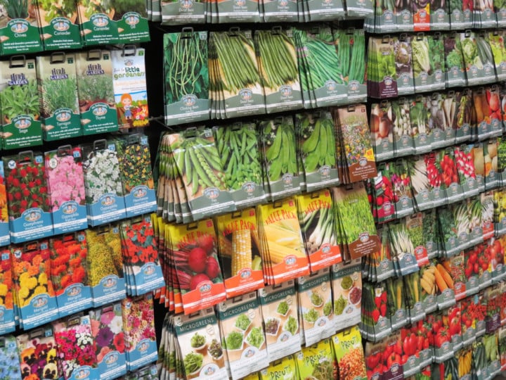 Buying Garden Seeds Everything You Need To Know