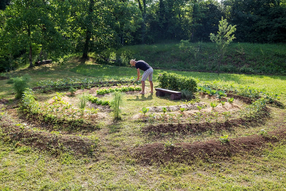 Man working on mandala garden