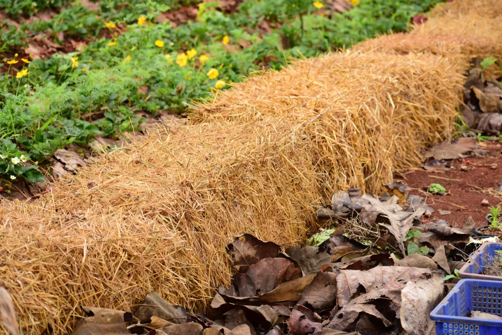 Straw bale edging