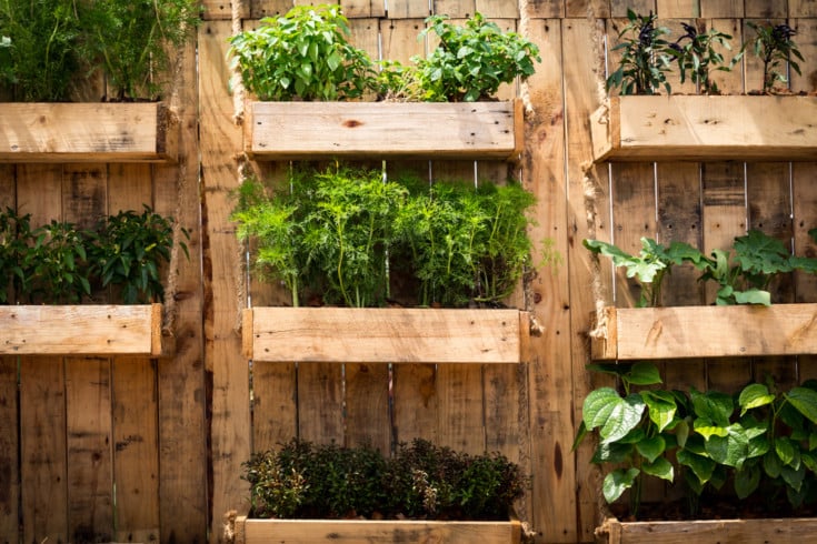 77 DIY Projects To Improve Your Self-Sufficiency & Keep You Busy