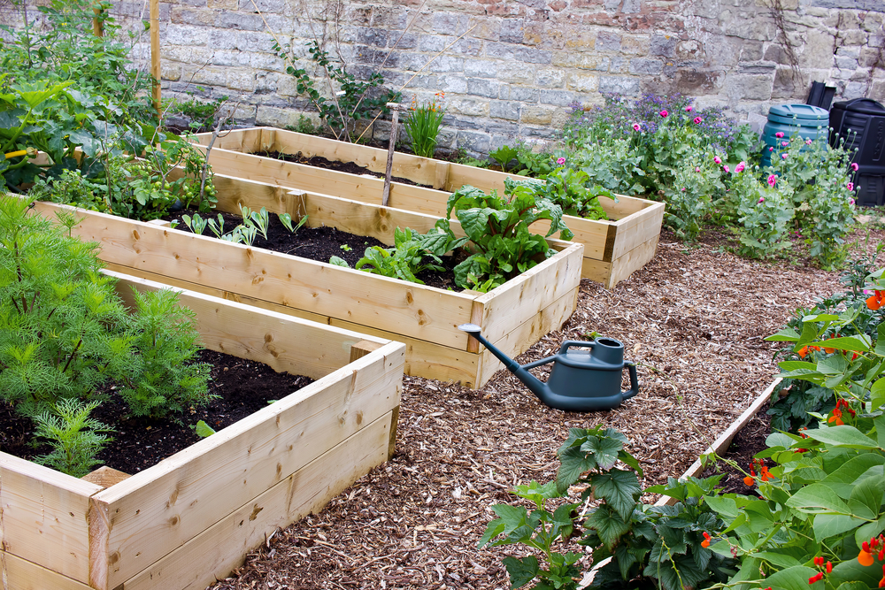 Wooden raised beds