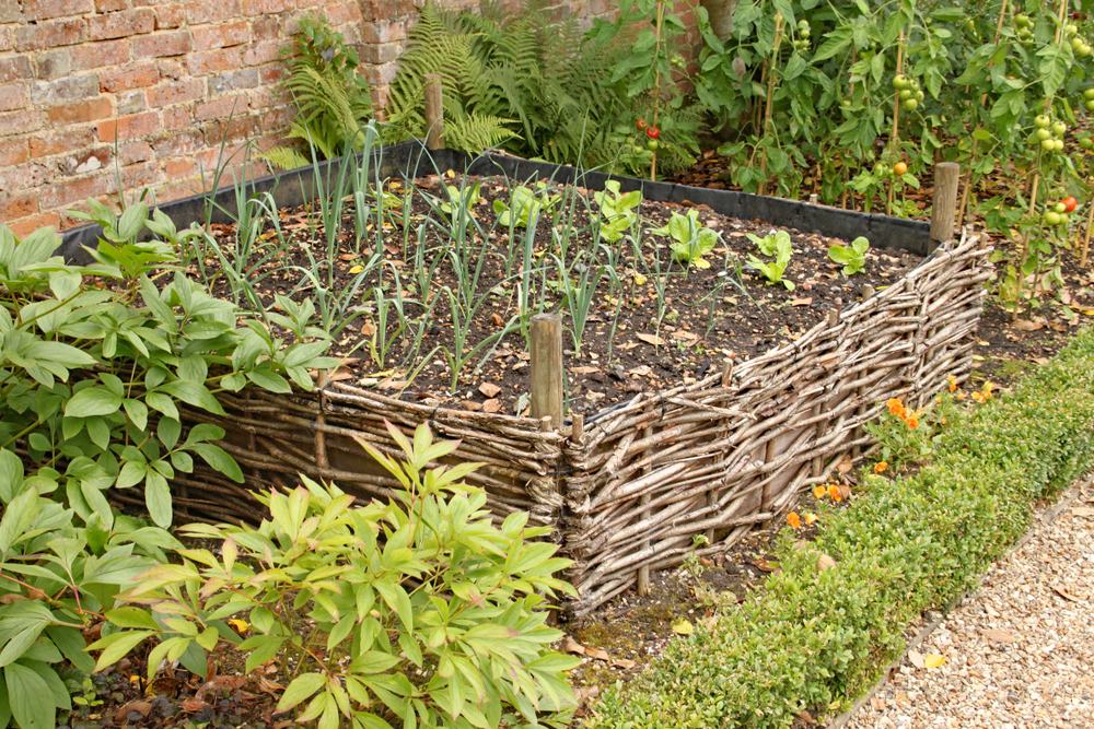 Woven willow raised bed