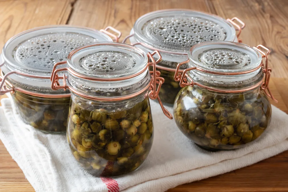 Jars filled with vinegar and dandelion buds