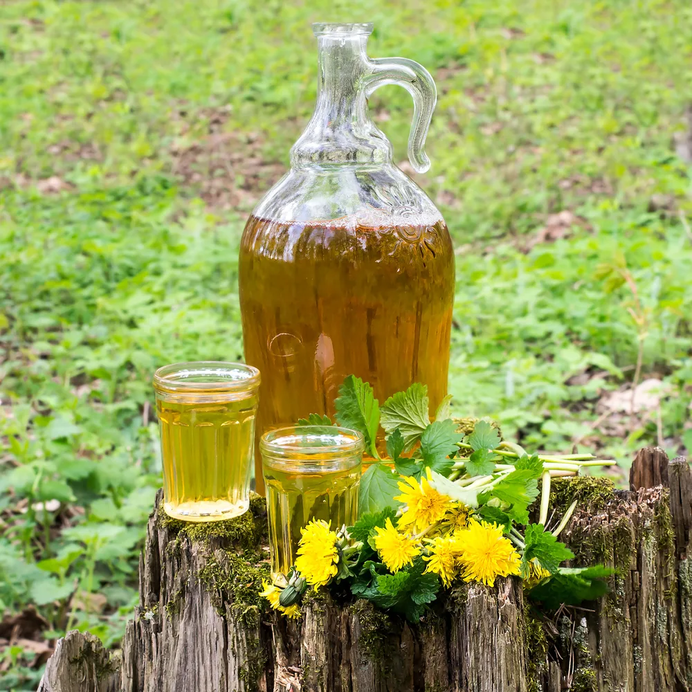 A jug of dandelion wine with two glasses poured