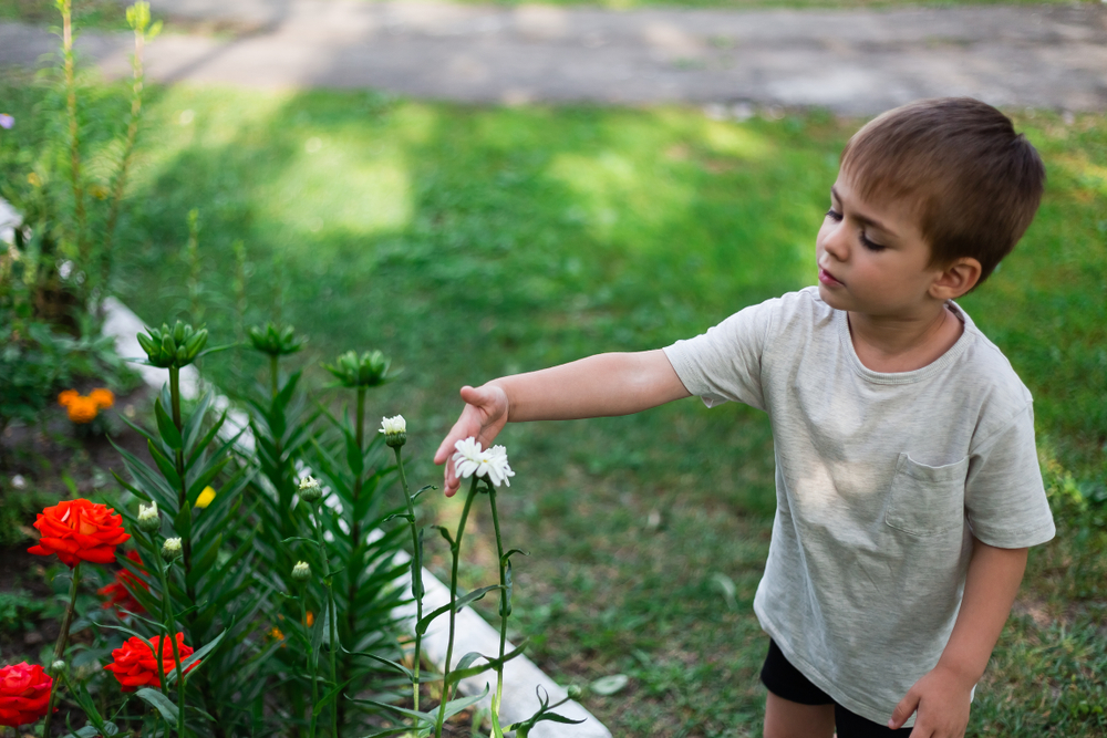 Boy touching plants