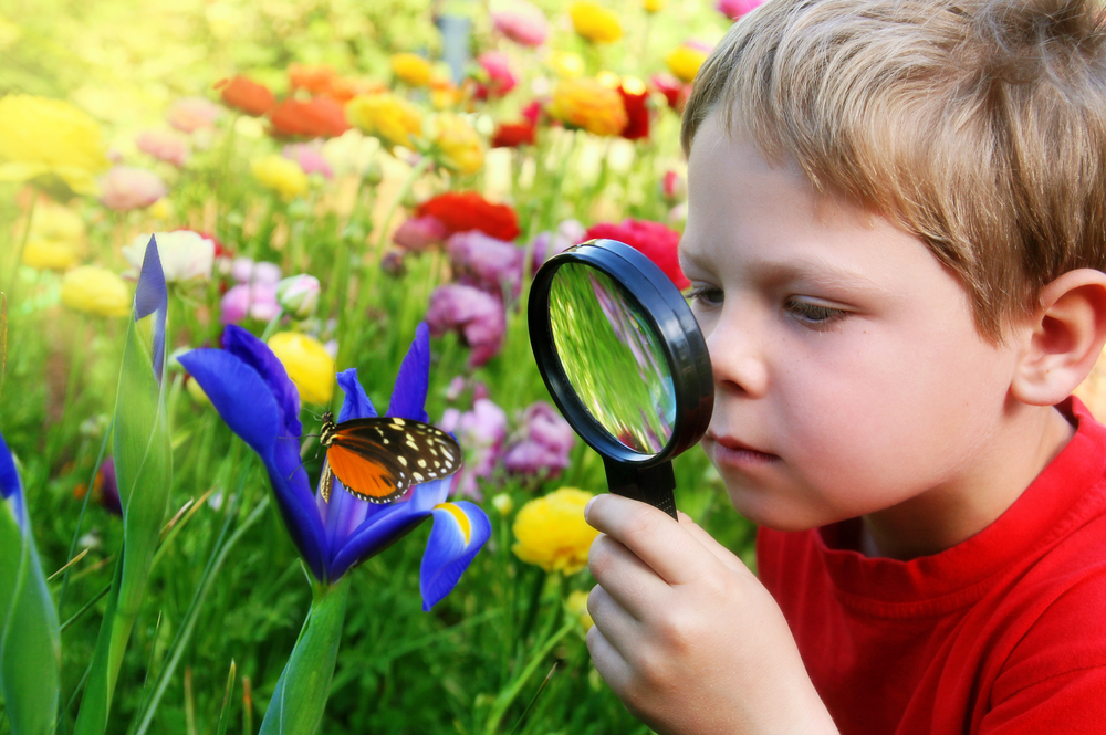 Child looking at butterfly