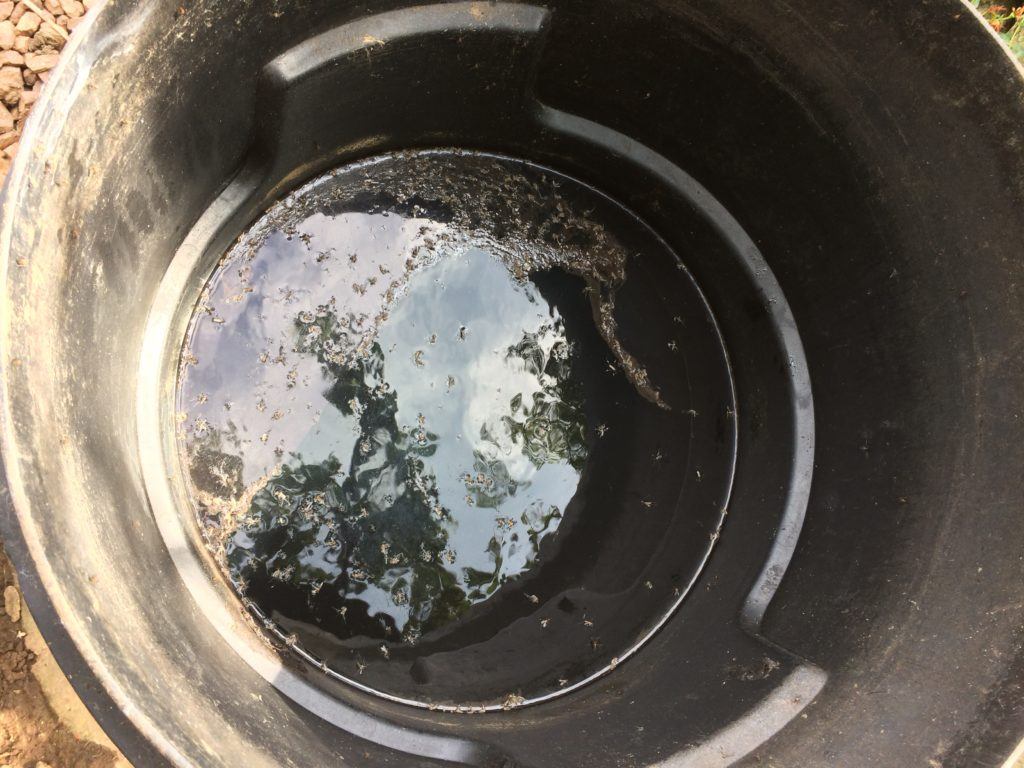 Garbage can with fermenting comfrey tea