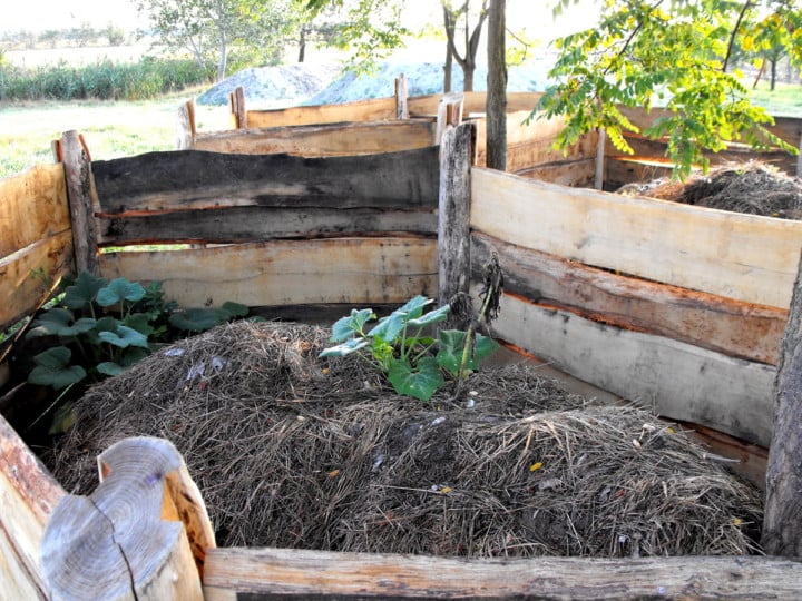 Compost Toilet How We Turned Human Waste Into Compost & How You Can Too