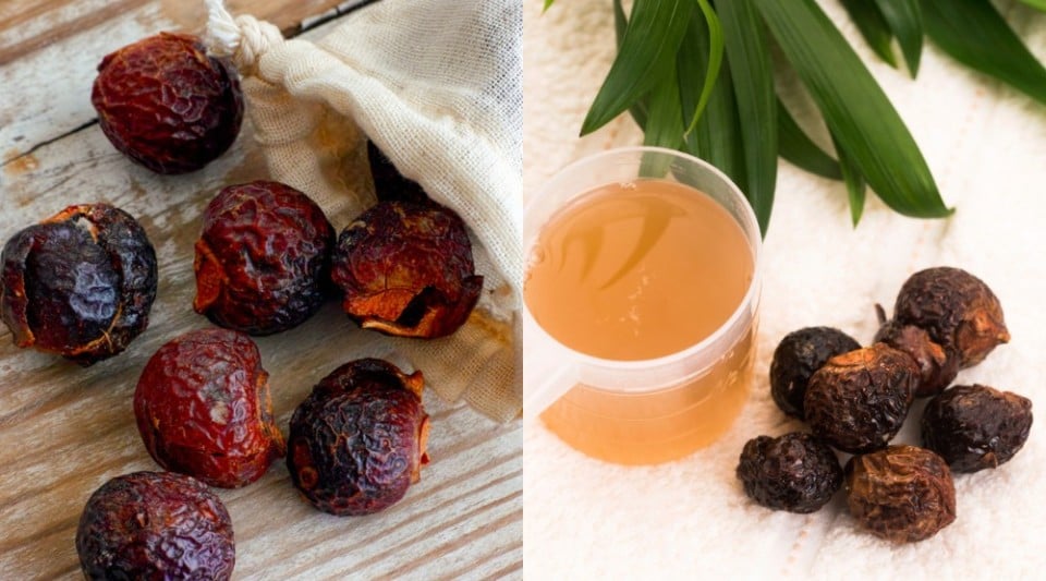 Soap Nuts 14 Reasons They Belong In Every Home