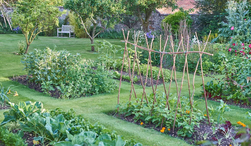 What Is a Survival Garden