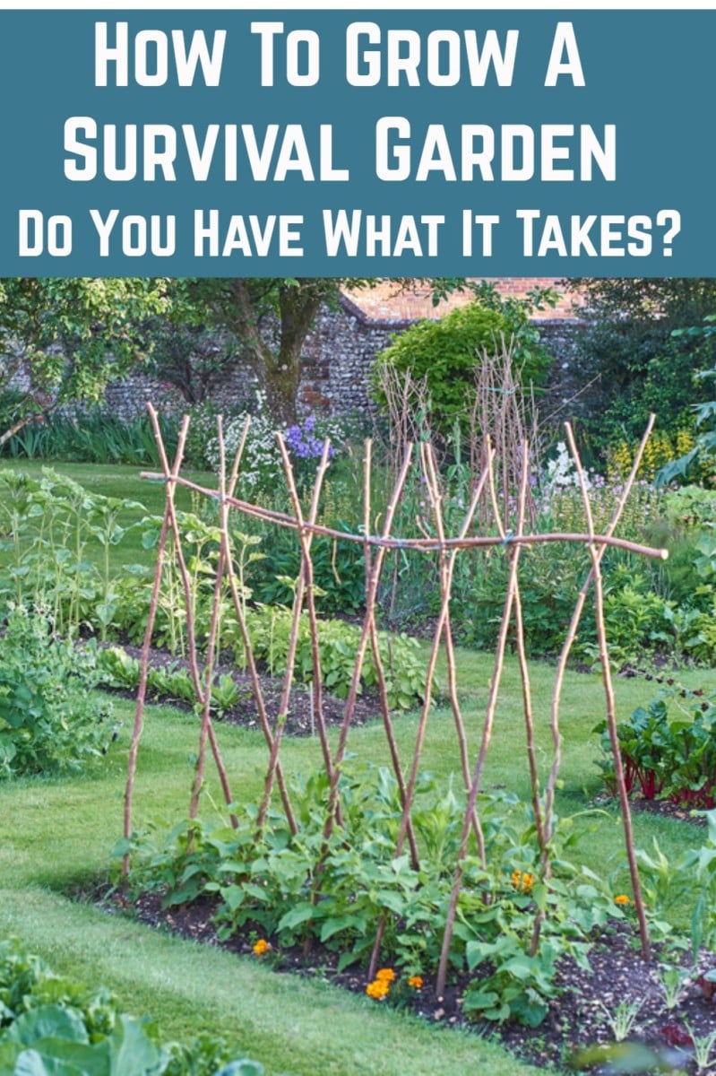 How To Grow A Survival Garden - Do You Have What It Takes?