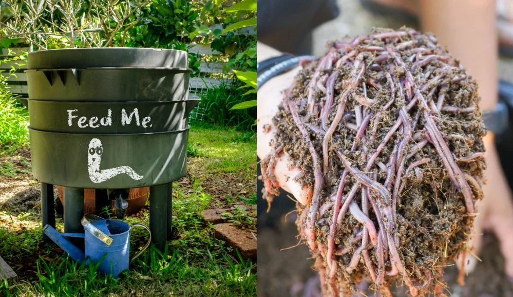 Vermicomposting How To Start Your Own Worm Bin - Diy Worm Compost Bin Bucket