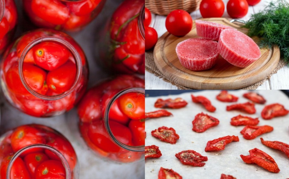 26 Ways To Preserve A Bounty Of Tomatoes