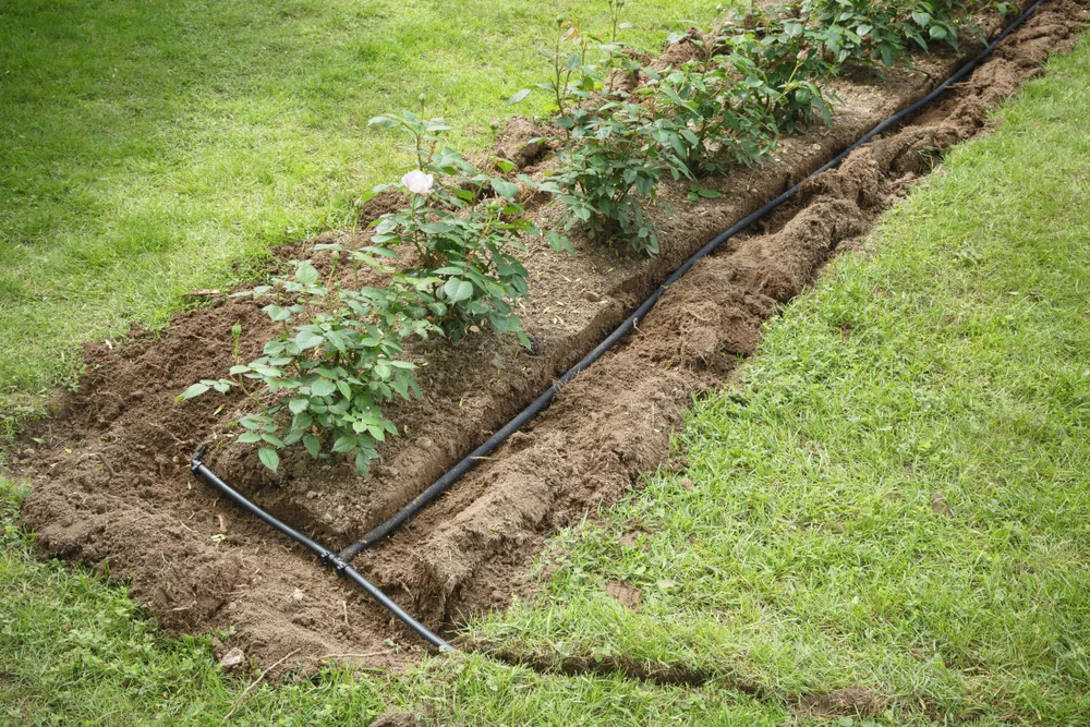 Garden bed with hoses in trench
