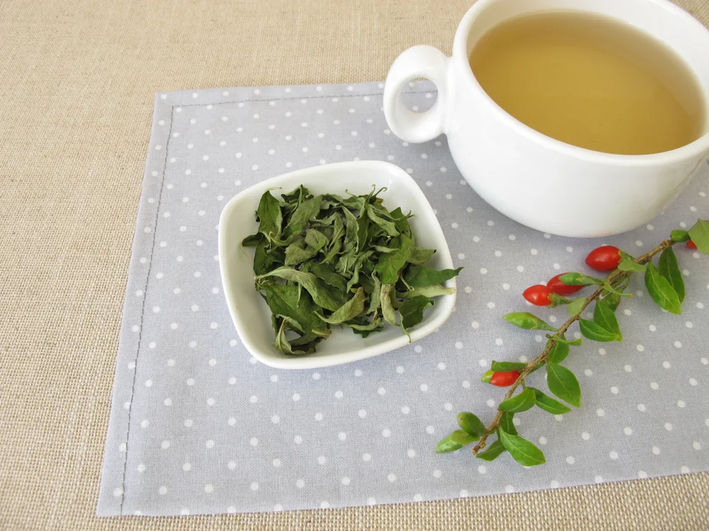 Goji leaf tea