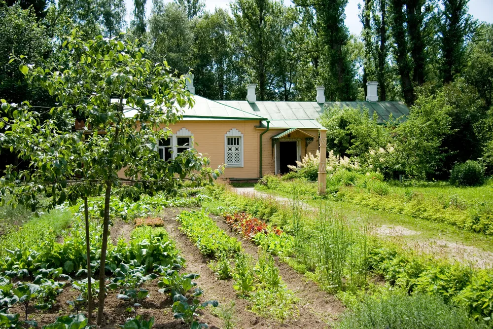 House and vegetable garden