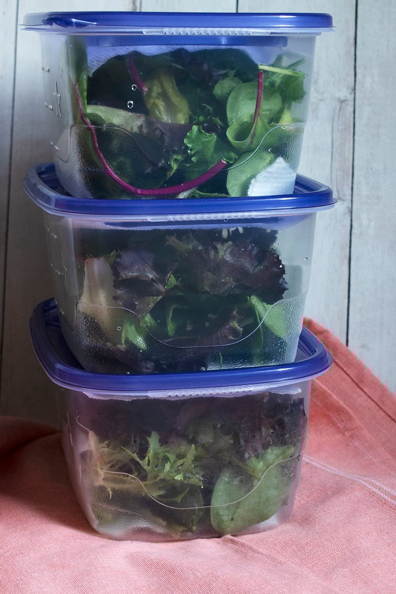 How To Store Salad Greens So They Last Two Weeks Or More