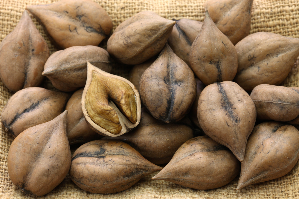 Heart seed walnuts