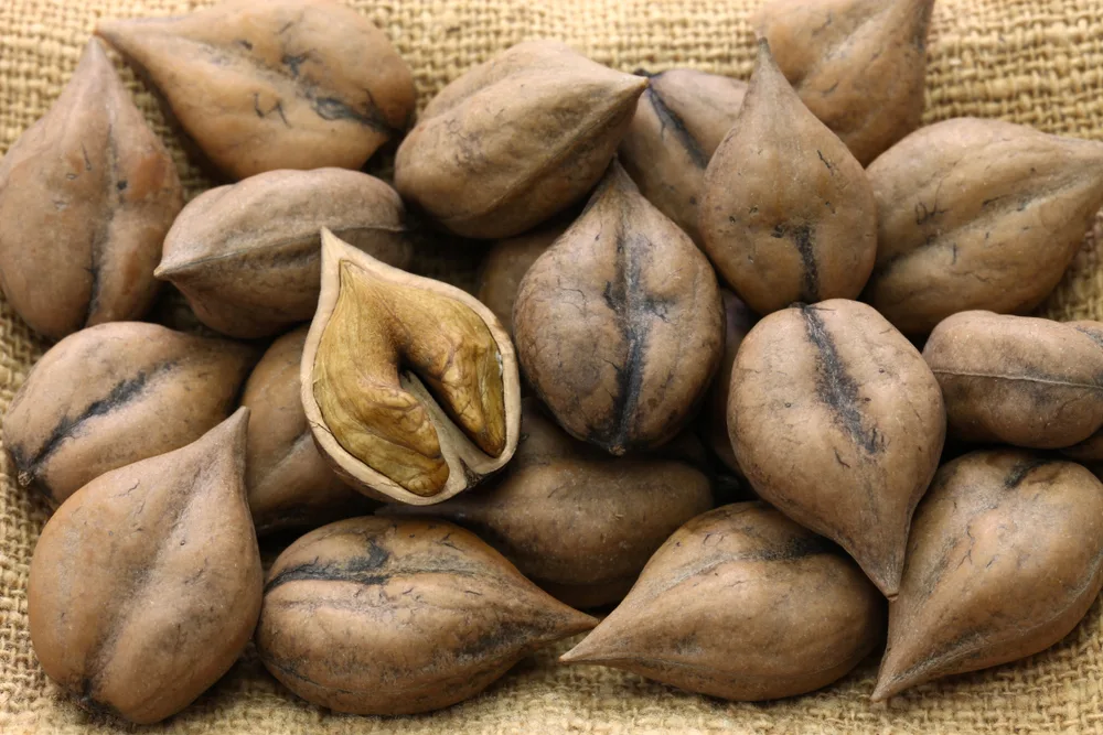 Heart seed walnuts