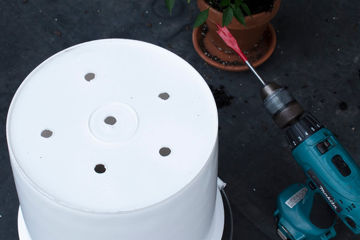 How To Grow Potatoes In a 5Gallon Bucket