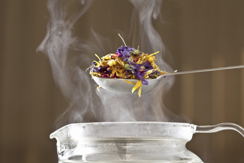 18 Plants To Grow In Your Herbal Tea Garden Blend Your Own Teas For