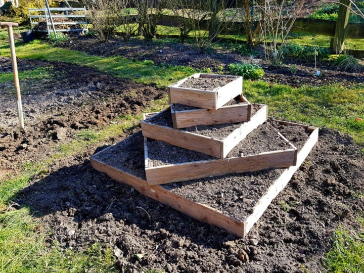 21 Genius Ideas For Growing Sacks Of Potatoes In Tiny Spaces
