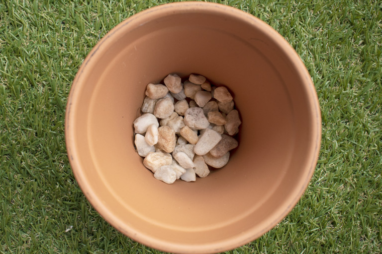 Rocks In Pot 12 Houseplant Mistakes Almost Everyone Makes