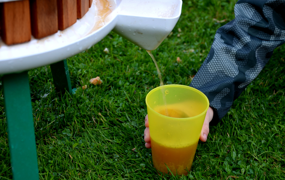 A child's hand holds a cup that is catching fresh cider from a cider press.