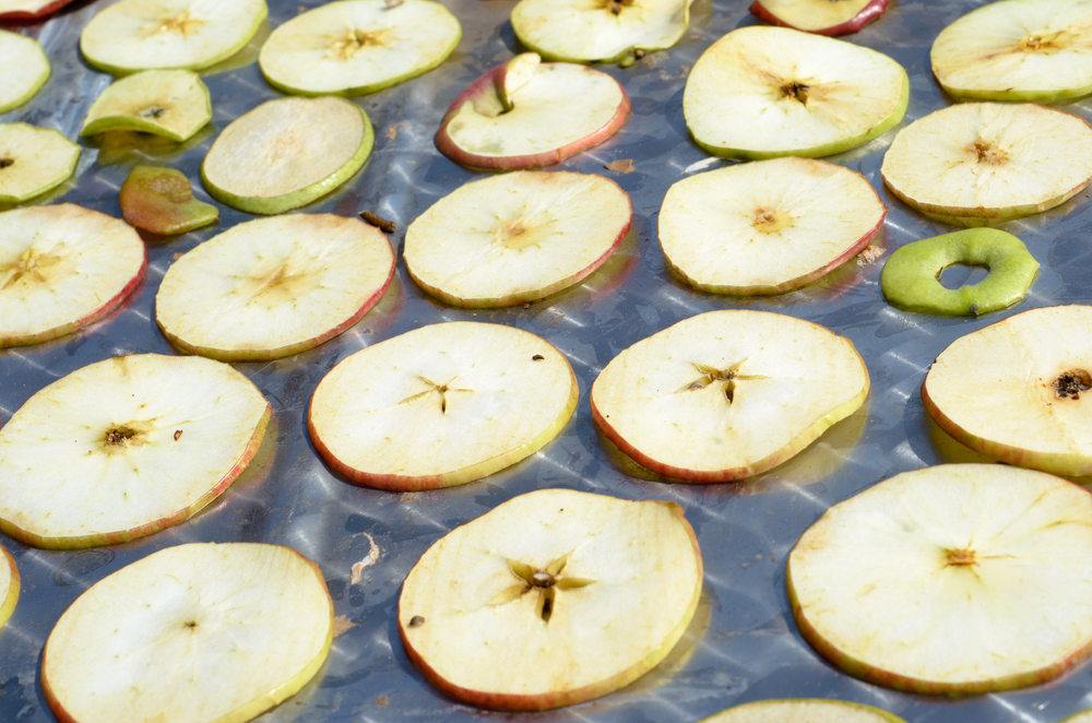 A single layer of sliced apples arranged on a baking sheet for freezing.