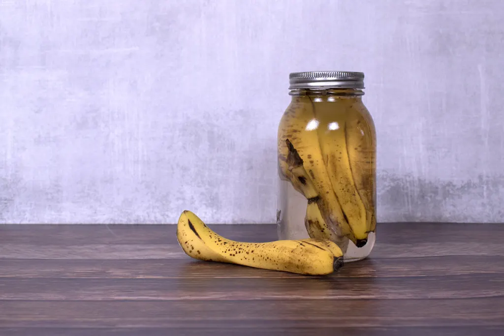 A jar of homemade banana peel fertilizer