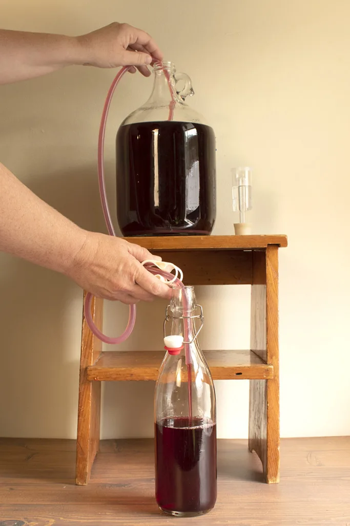 someone transfers blueberry basil mead into bottles to age