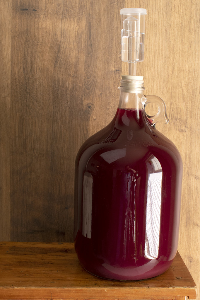 a carboy filled with cloudy mead