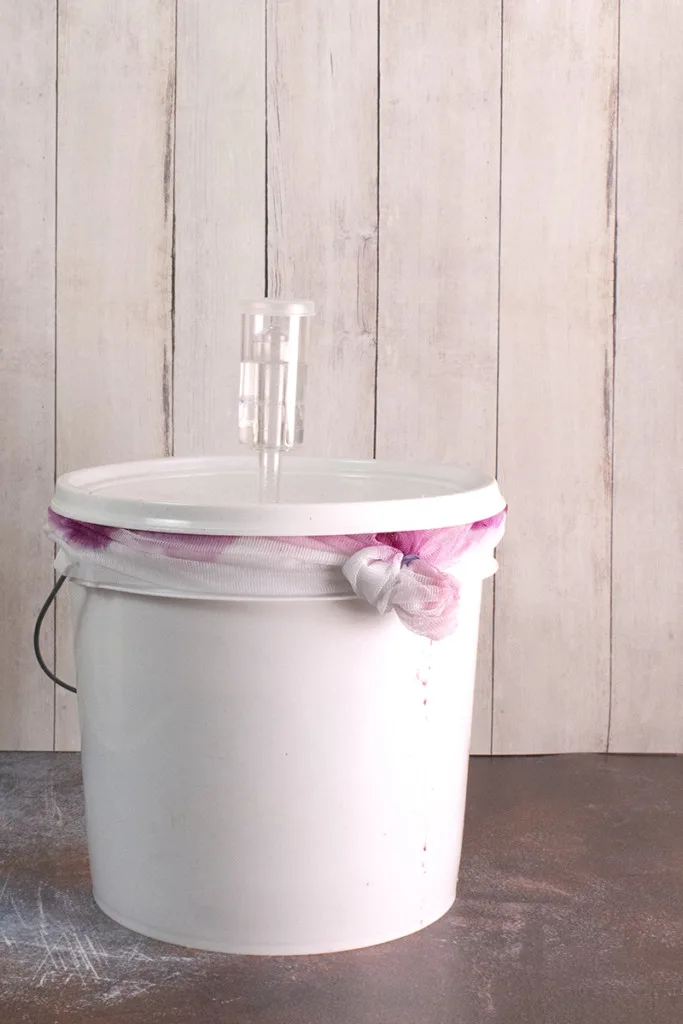A brew bucket with the lid on it, protects the batch of beet wine inside.