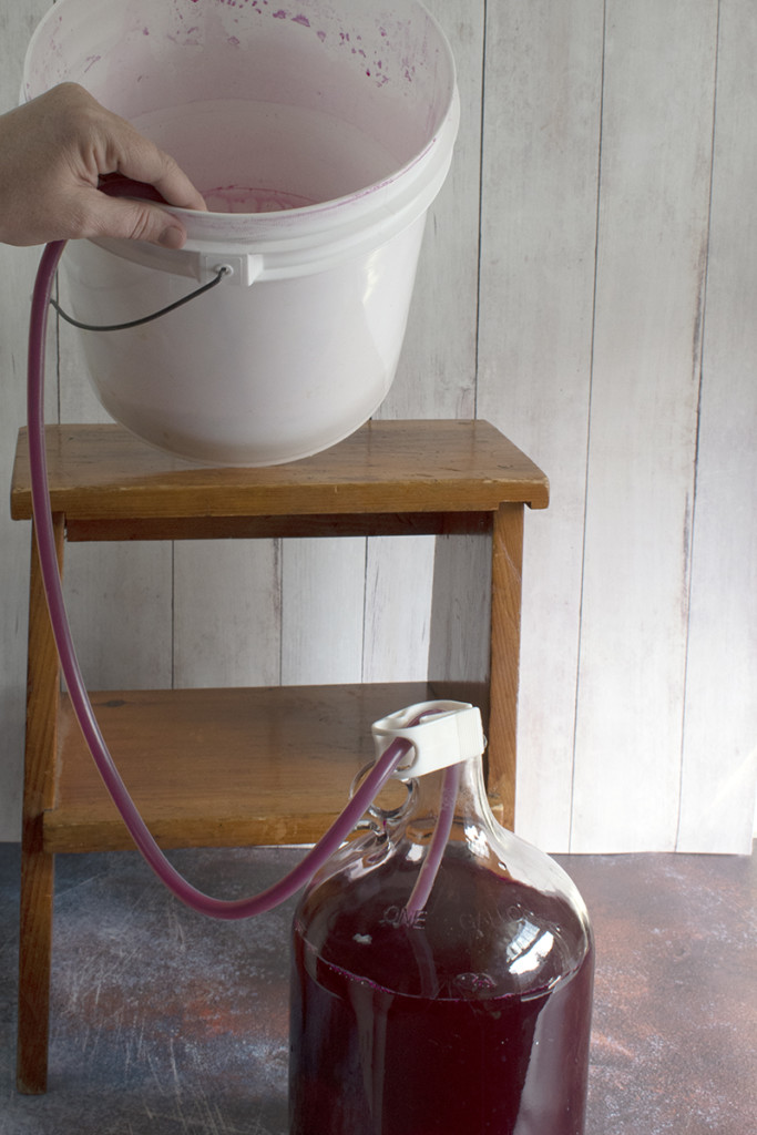 Racking beet wine from the primary fermentor into the secondary fermentor.