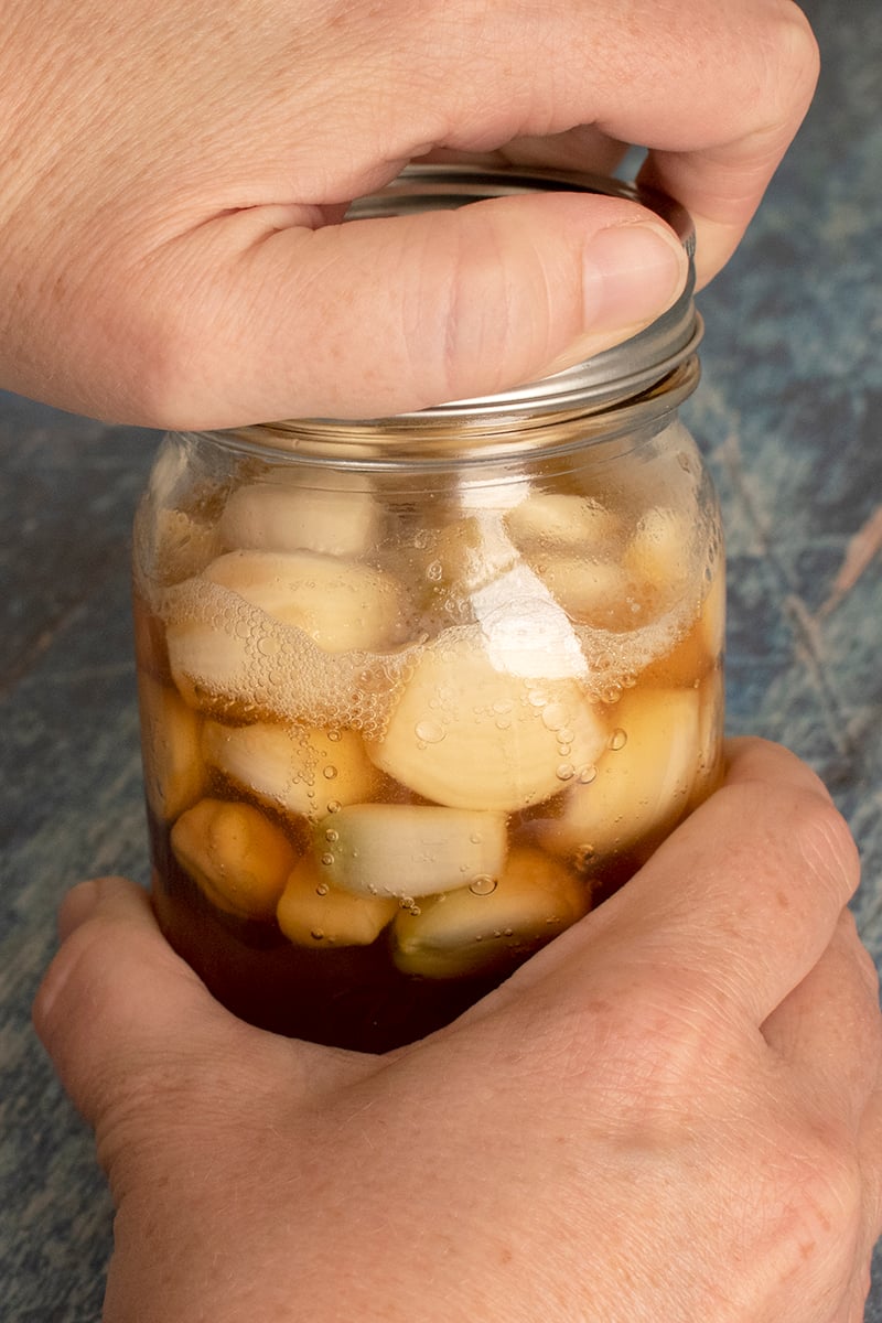 HoneyFermented Garlic The Easiest Fermented Food Ever!