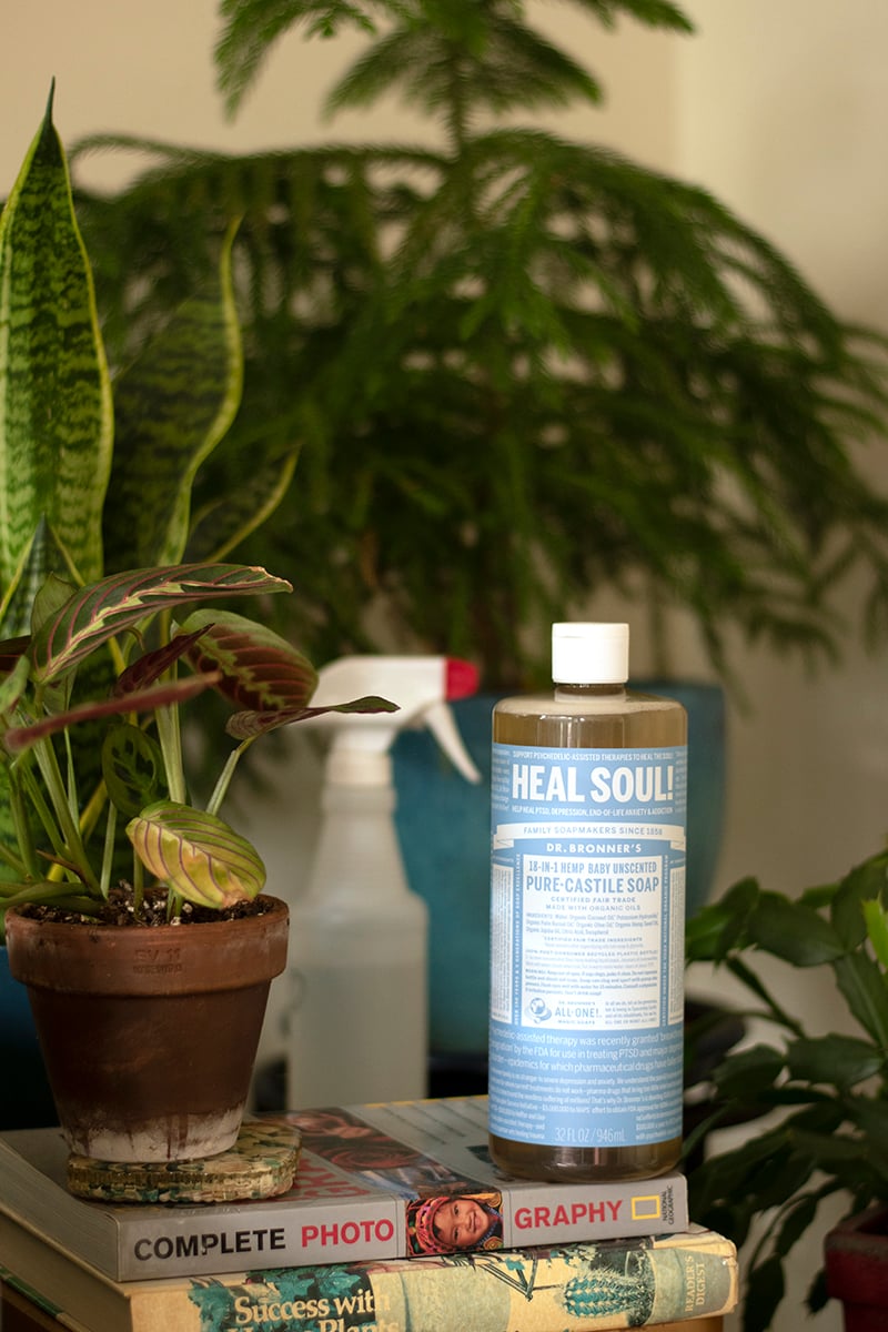 25 Brilliant Uses For Castile Soap