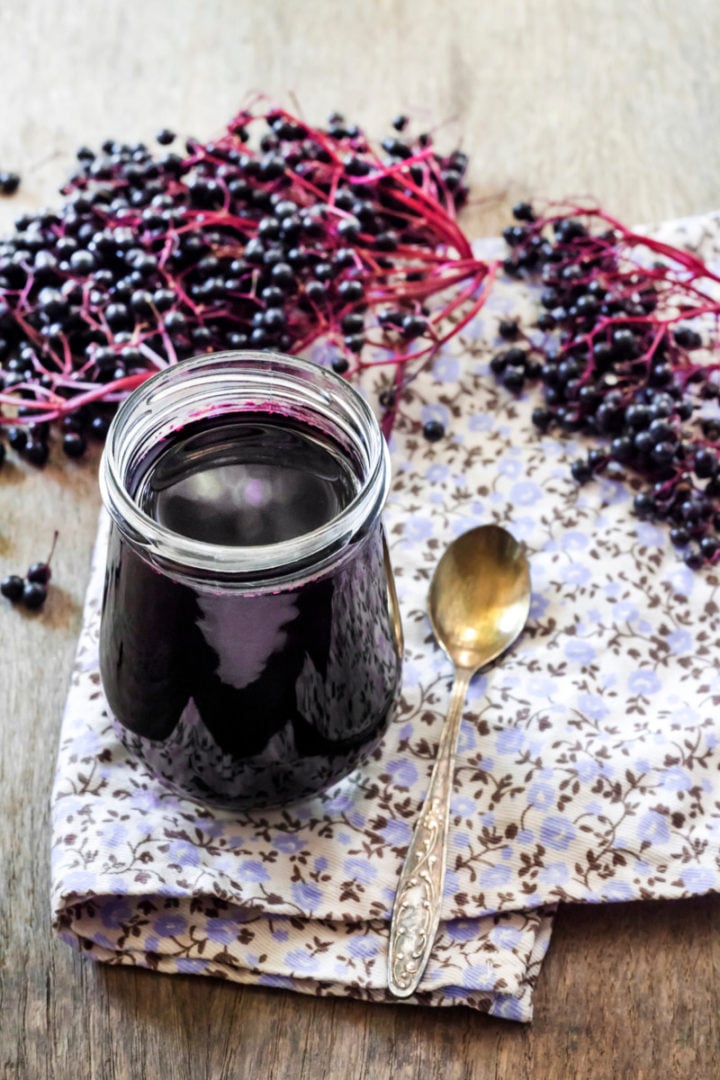 Harvesting Elderberries & 12 Recipes You've Got To Try