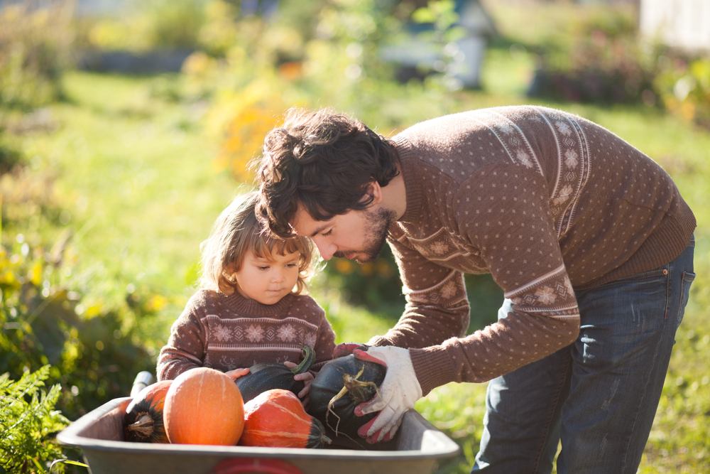 A father and daughter pick squash in the fall.
