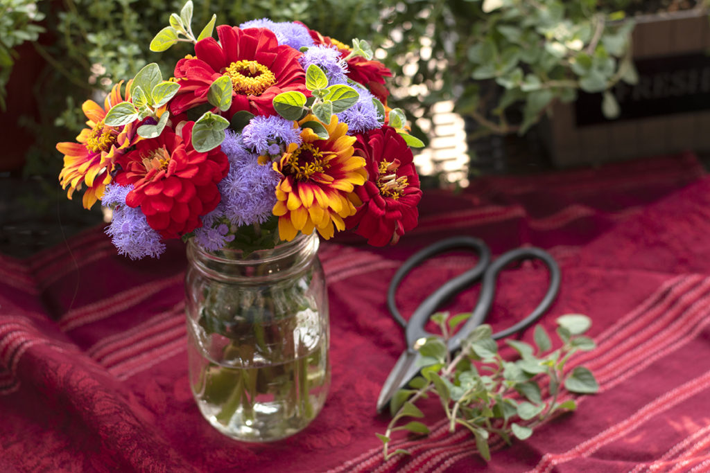 A bouquet of flowers in a mason jar sits next to a pair of gardening shears and a few sprigs of oregano.
