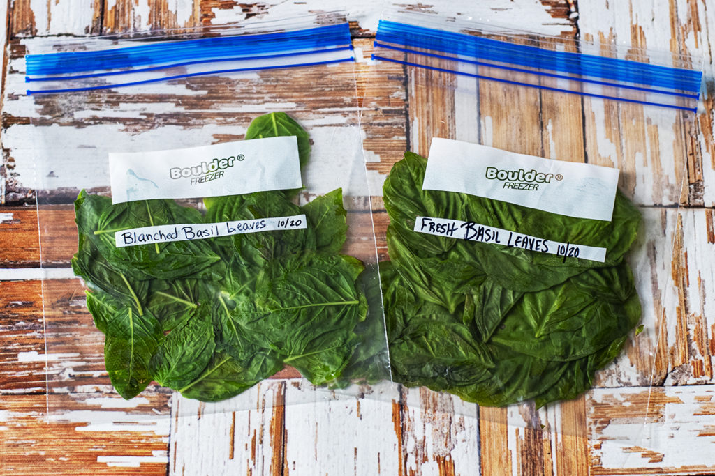 A comparison photo of blanched frozen basil and fresh frozen basil.