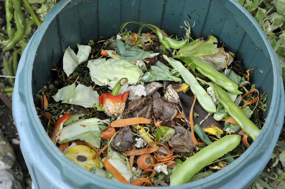 The Compost Chopper  Compost, Watermelon rind, Corn on cob